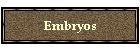 Embryos